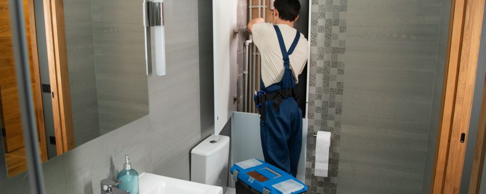 bhagya laxmi jap5clbdiyu unsplash