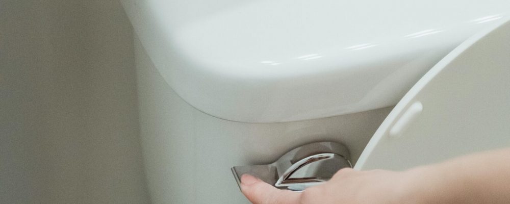 pexels miriam alonso 7622581